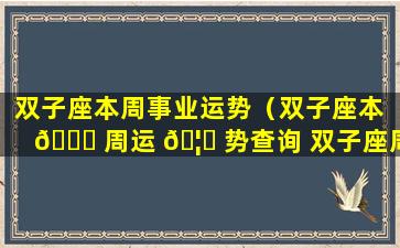 双子座本周事业运势（双子座本 🕊 周运 🦍 势查询 双子座周运）